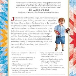 Alternative view of What to Expect the Second Year: From 12 to 24 Months (مستخدم)